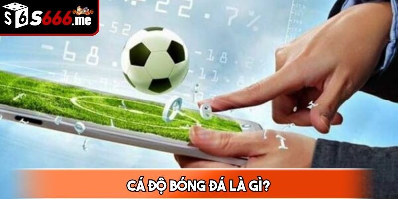 Cá độ bóng đá là việc dùng tiền để đặt cược vào các kèo được nhà cái cung cấp