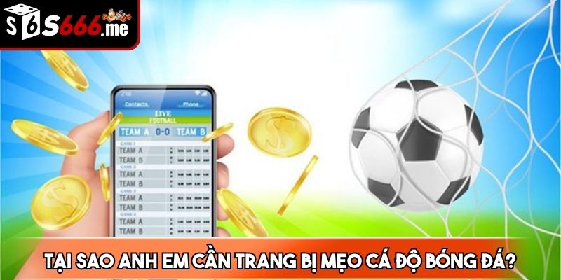 Mẹo cá độ bóng đá mang lại nhiều cơ hội chiến thắng cho người đặt cược